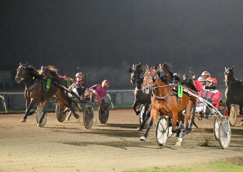 GREV FARQUAARD DSC 6443