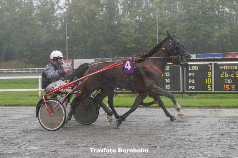 G Cross med Per Andersson 4 oktober 2025 Fotograf Torben Ager Travfoto Bornholm TKA 2868