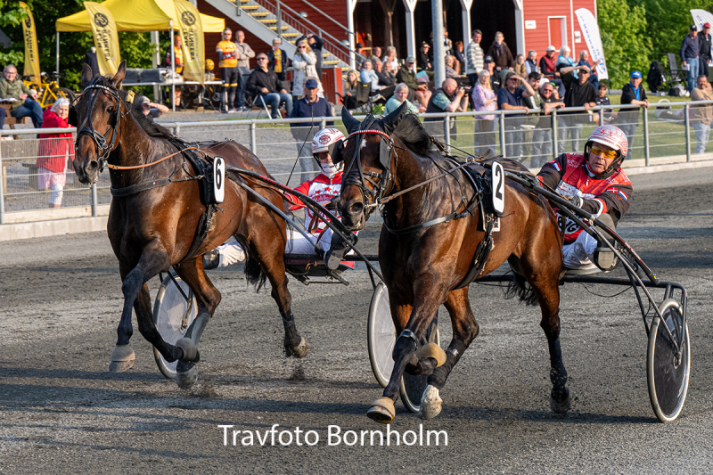 Ghostbuster med John Gommans 26 maJ 2026 Fotograf Torben Ager Travfoto Bornholm TKA 4281