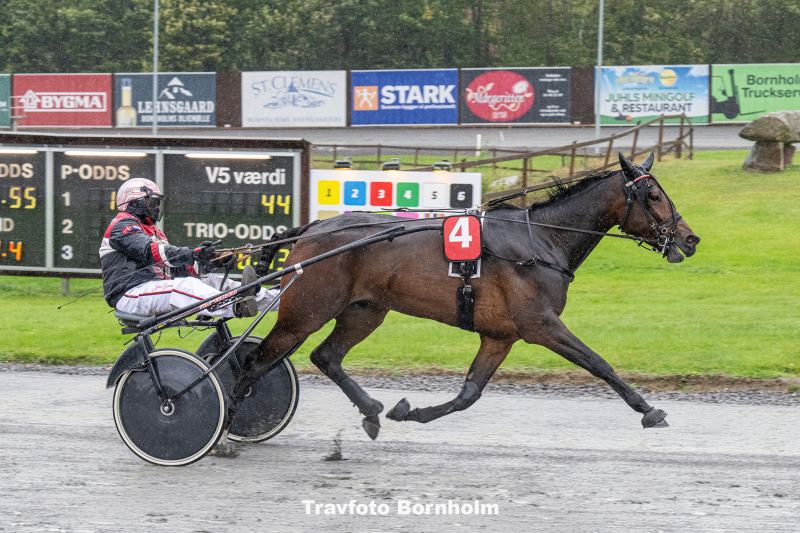 Ghostbuster med John Gommans 4 oktober 2025 Fotograf Torben Ager Travfoto Bornholm TKA 2625
