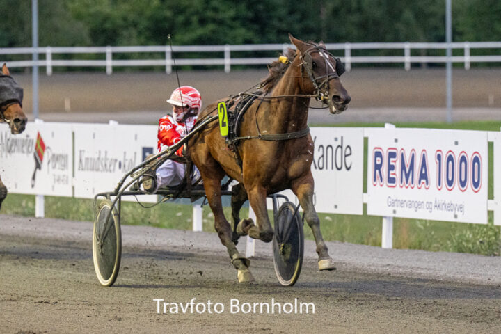 Gino med Ole M ller 28 juli 2026 Fotograf Torben Ager Travfoto Bornholm TKA 1190