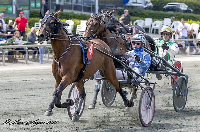 Tidligere dansk europamester tilbage i vindercirklen HANDSOME_DEVIL_S2_2976