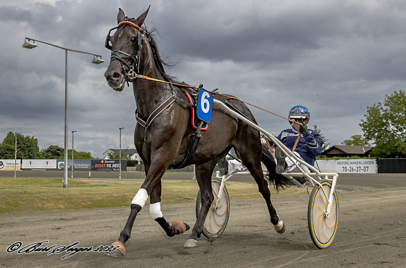 Christian Sejer modtager lovende 2‑åring HEJ_BORK_D2I8827