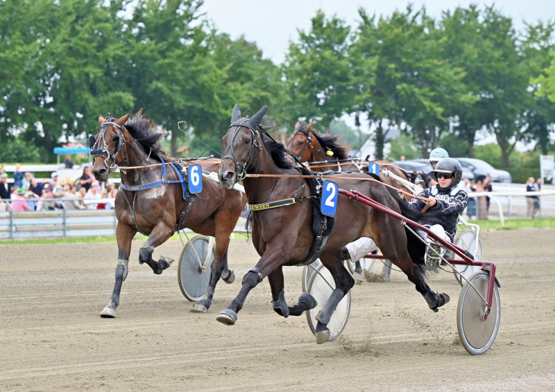 HELST B P HEGN DSC 1701