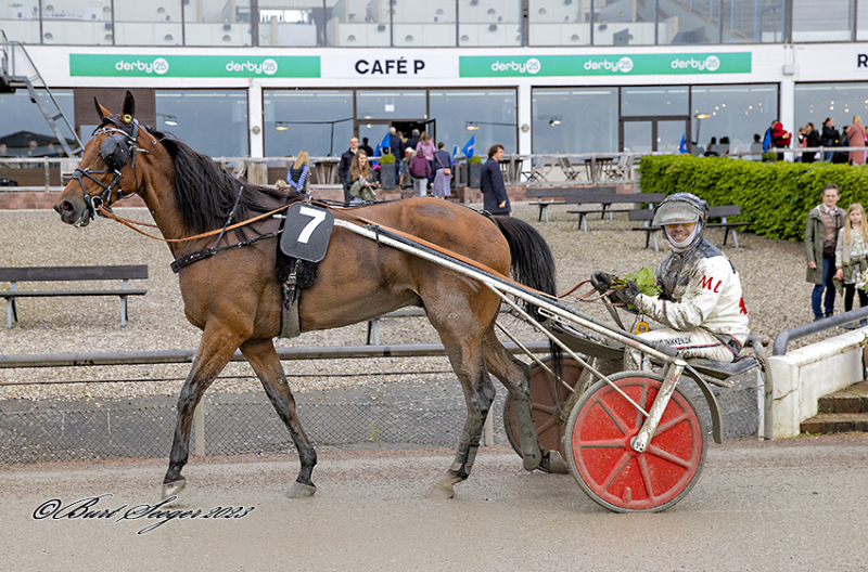 HOLGER DANSKE D2I7328 1