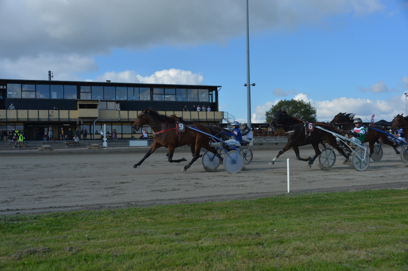 Handsome Henry W A 250914