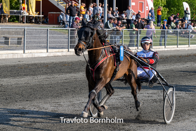 Hazard Hjortsh j med Niels Kristian Hansen 26 maJ 2026 Fotograf Torben Ager Travfoto Bornholm TKA 4170