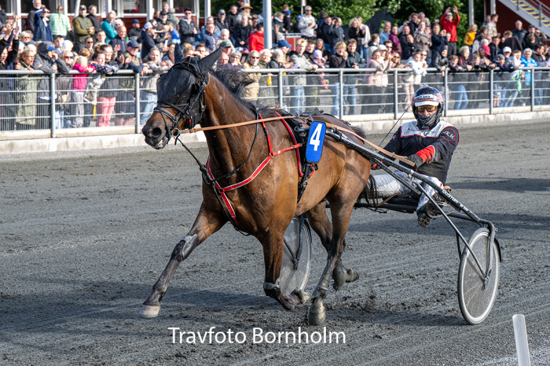 Hazard Hjortsh j med Niels Kristian Hansen 7 juli 2026 Fotograf Torben Ager Travfoto Bornholm TKA 7980