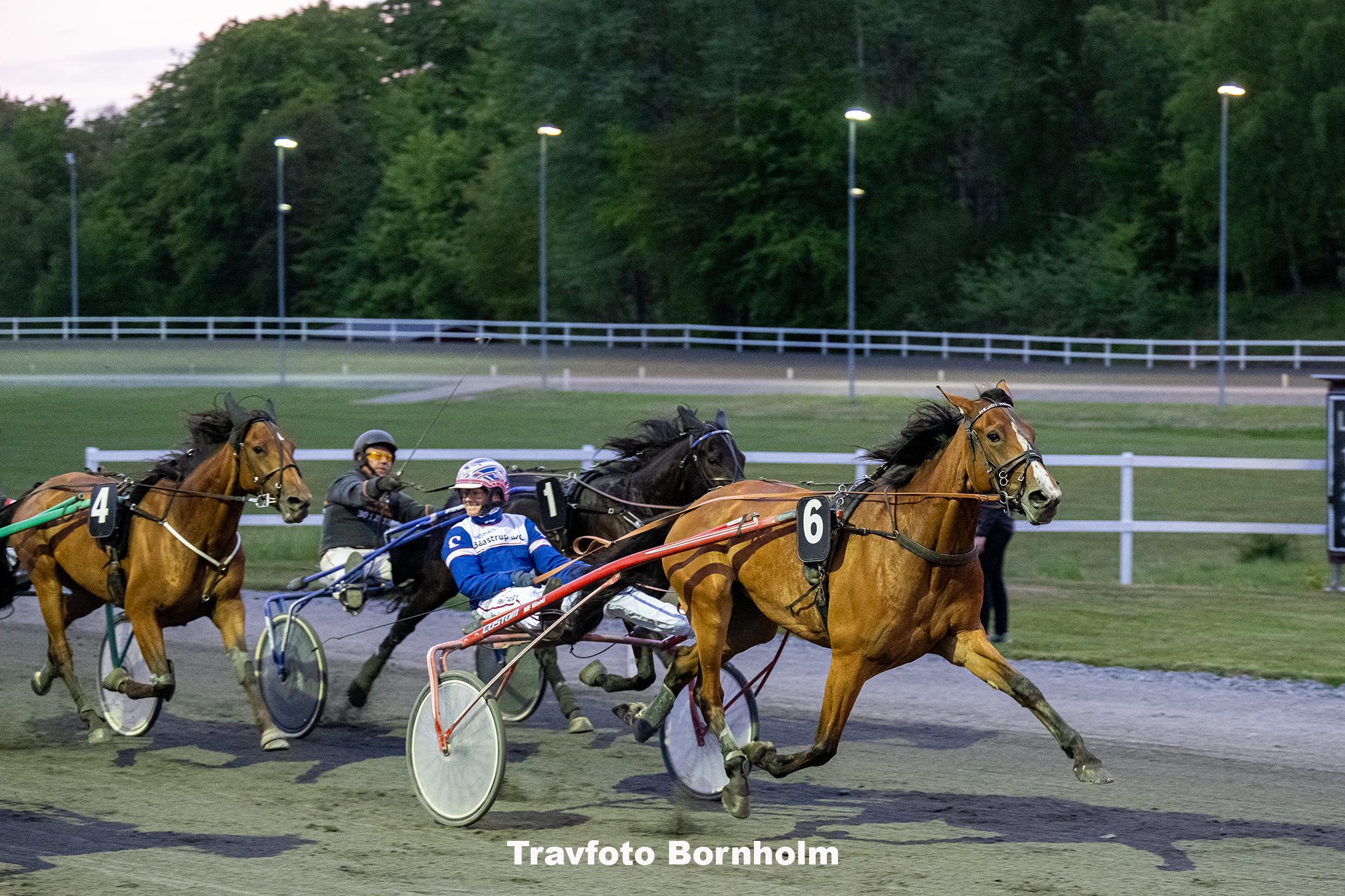 Hejdi Hovmand med Niclas Steinlain 17 maj 2025 Fotograf Torben Ager Travfoto Bornholm TKA 9609
