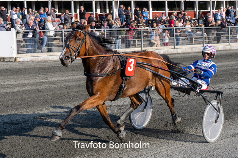 Hejdi Hovmand med Niclas Steinlain 26 maJ 2026 Fotograf Torben Ager Travfoto Bornholm TKA 4204