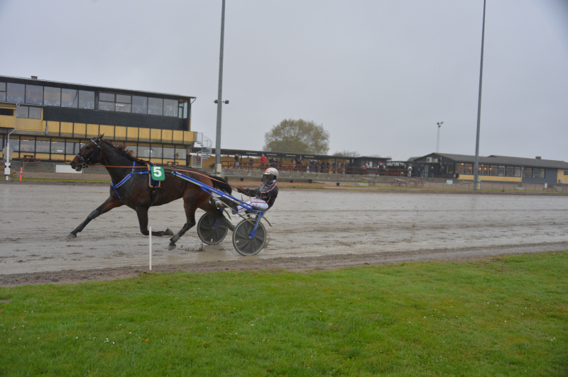 Bedste sæson i flere år for Kojak og Gitte Henrik_Will_251026