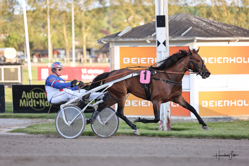 Nyt salg fra salgsmenuen - Til Holland Hera_1699