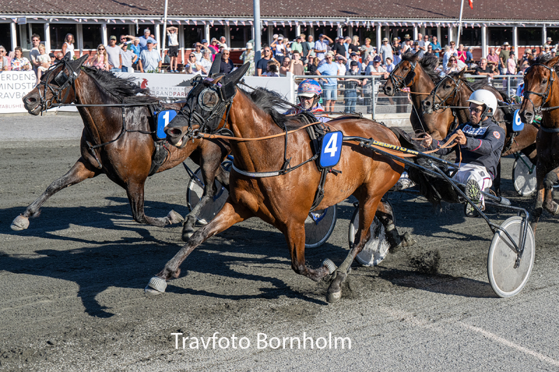 Honey Dream med Joans Jo nsson 30 juni 2026 Fotograf Torben Ager Travfoto Bornholm TKA 7393