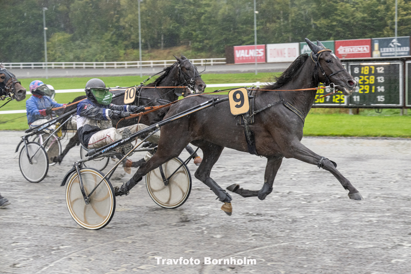 Hot Shadow med Oliver Gommans 4 oktober 2025 Fotograf Torben Ager Travfoto Bornholm TKA 2819