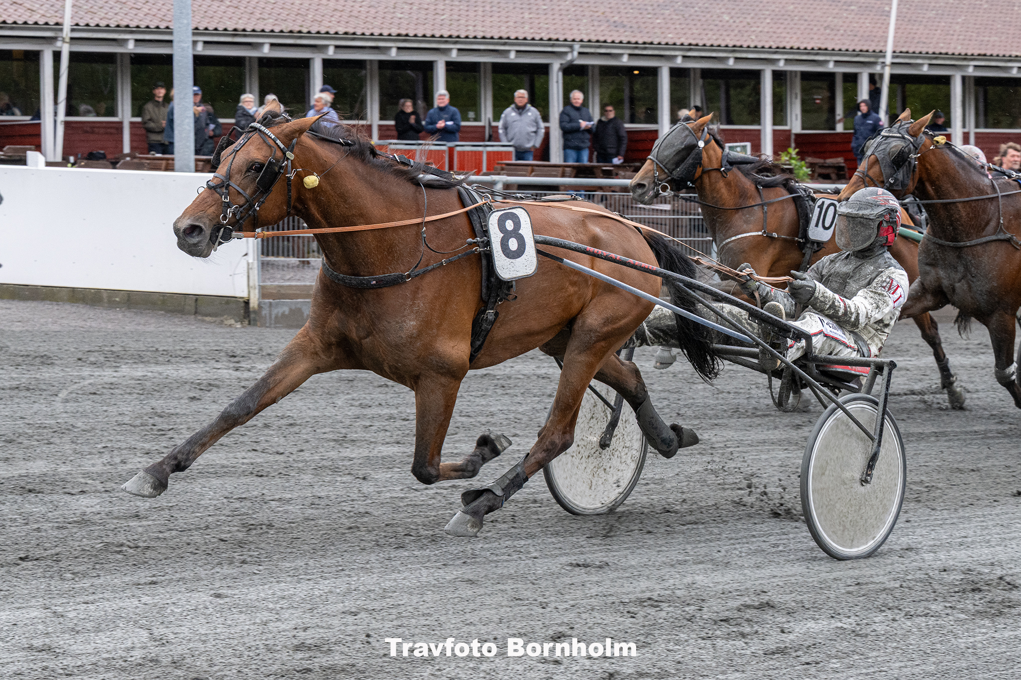 Kort nyt Stonefire U S med Michael Lønborg 3 maj 2025 Fotograf Torben Ag