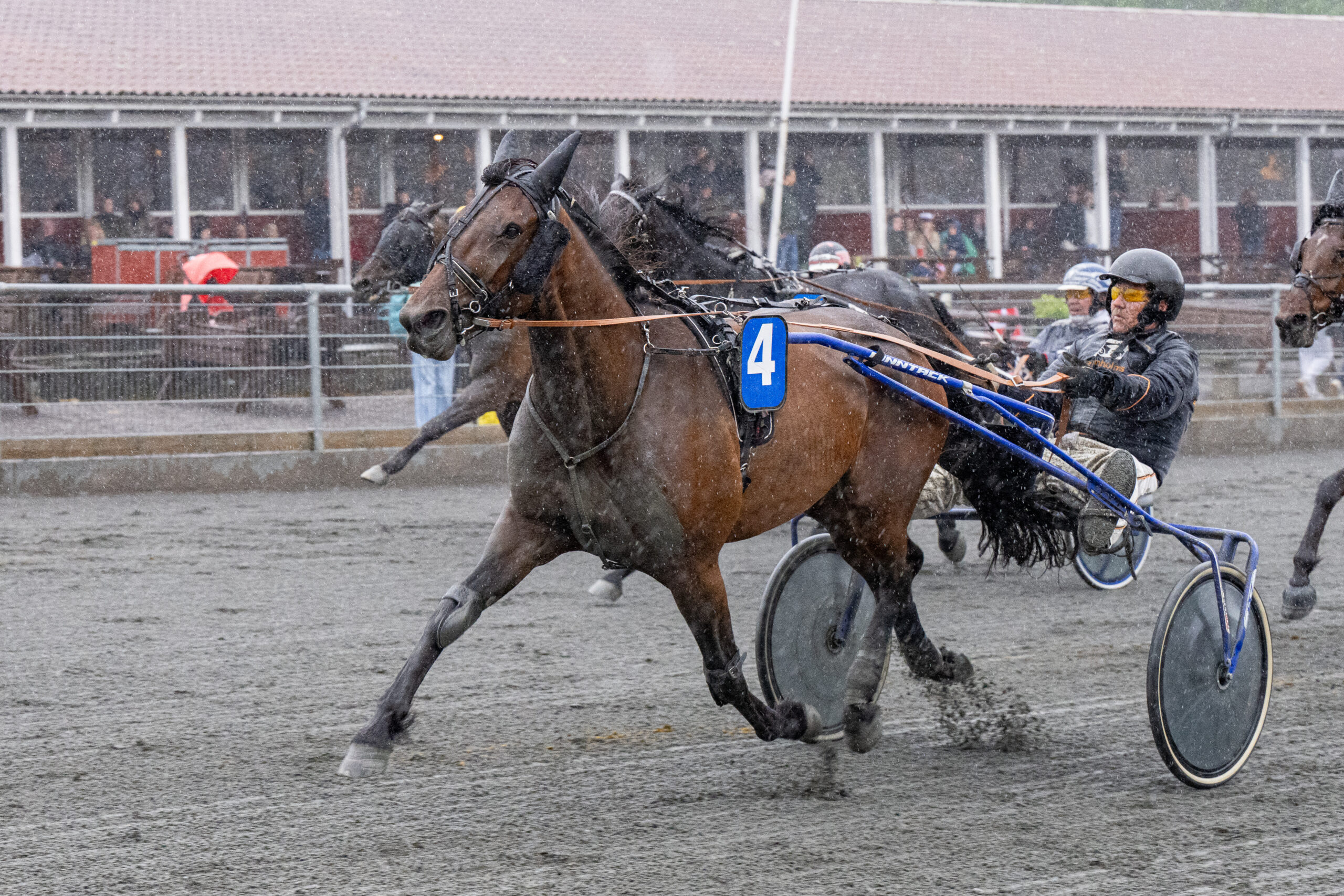 I Go Again Chief med Kim Mortensen 24 juni 2025 Fotograf Torben Ager Travfoto Bornholm TKA 4178 scaled