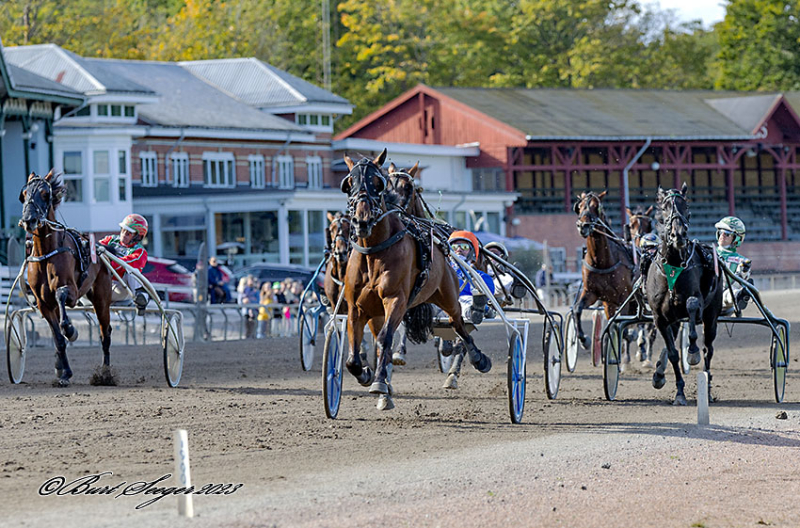 Ikon Vang imponerer på Saratoga IKON_VANG_MGL4687