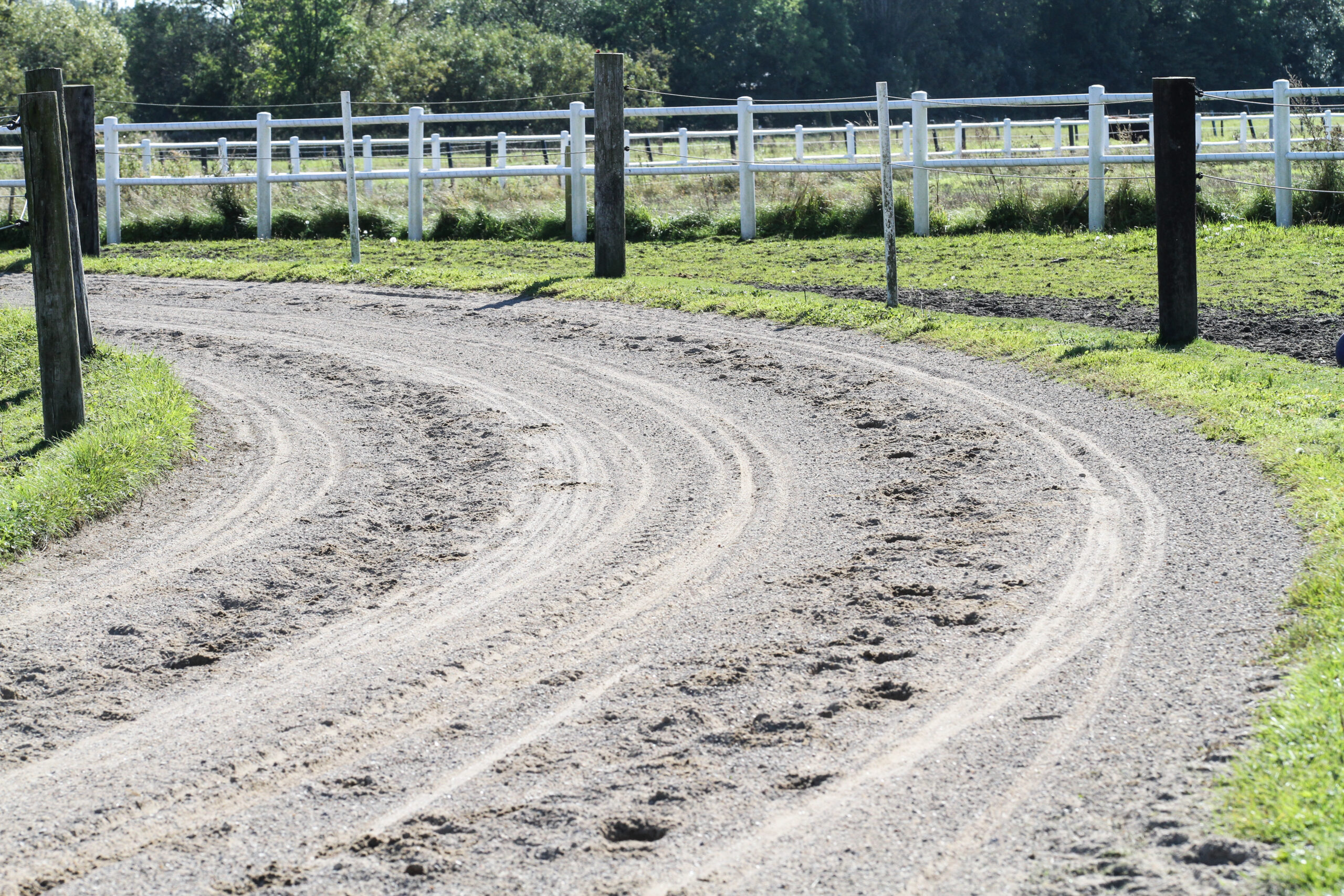 IMG 5935 edited scaled