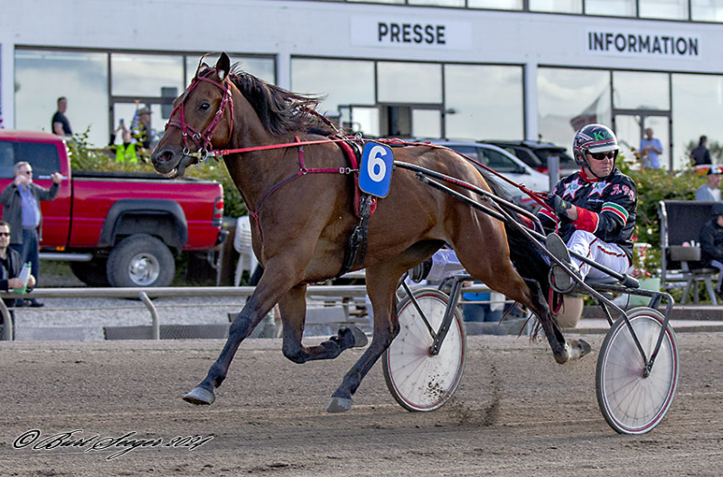 ISAK LASER MGL3255 1