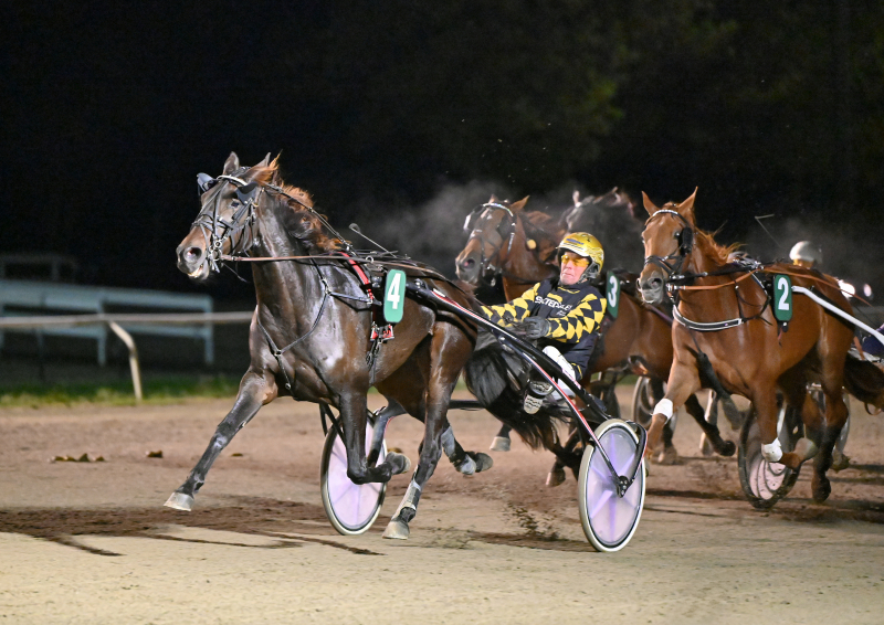 I MONTHEPHOTO DSC 1884