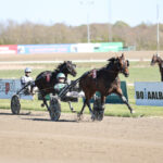 Salgsannonce – 14‑traver i fuld form ImVici_7232