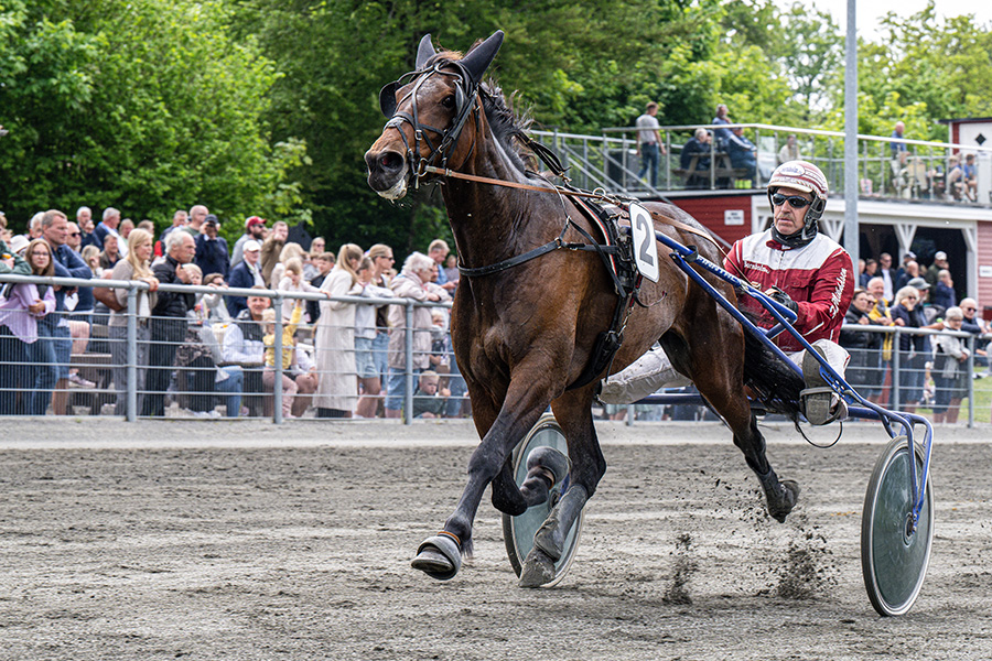 Salgsmenuen - Impressive K Impressive K med Frank Mikkelsen 20 maj 2024 Fotograf Torben Age