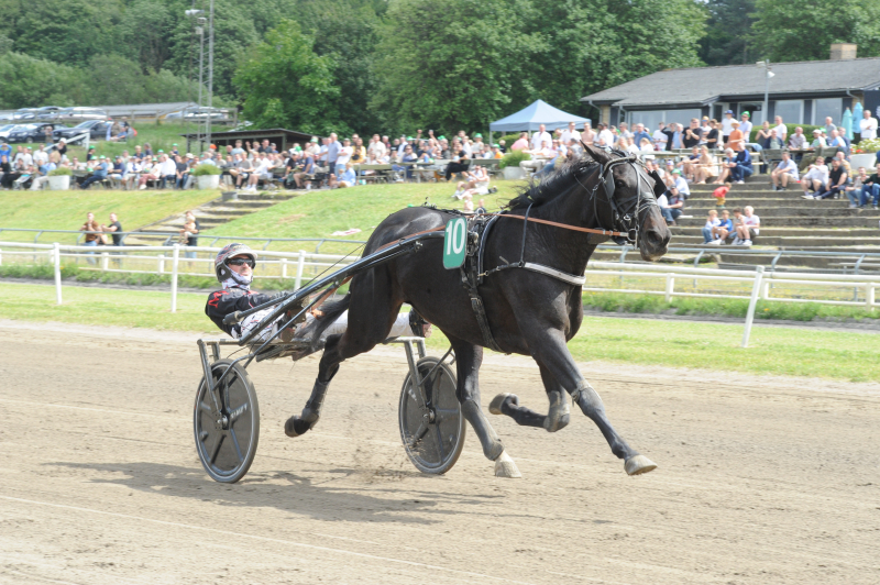 Sverige - Gode danske muligheder Influencer_2355