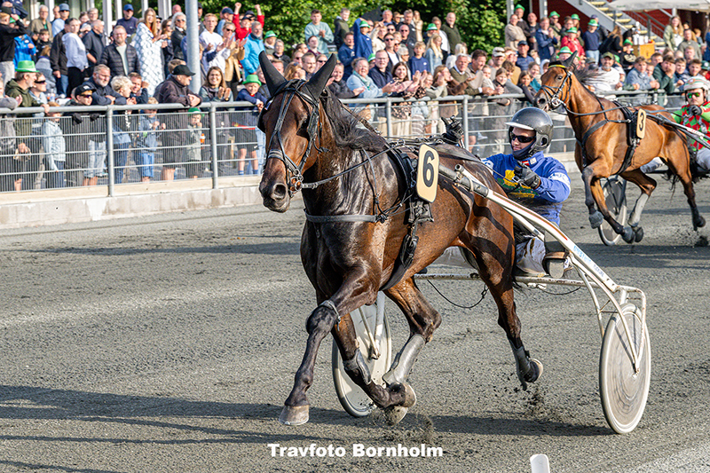 Inter Flamingo med Mads K Mogensen 16 juli 2025 Fotograf Torben Ager Travfoto Bornholm TKA 6057