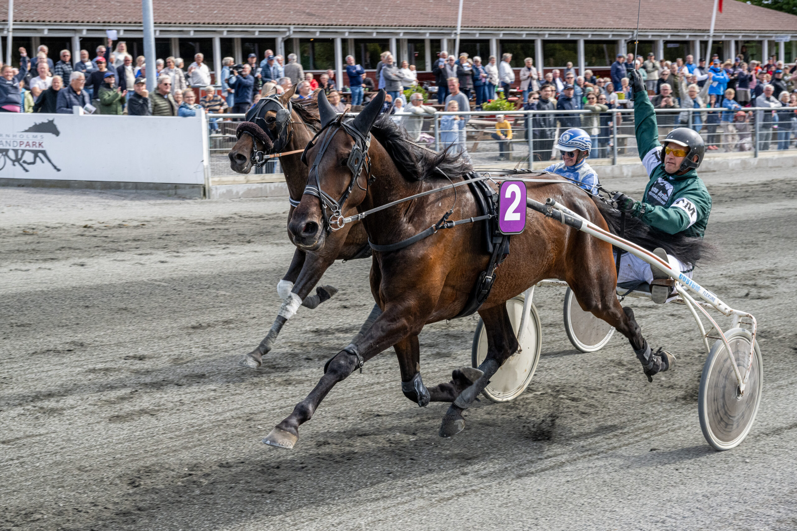 Inter Flamingo med Tonni K Mogensen 23 august 2025 Fotograf Torben Ager Travfoto Bornholm TKA 9793 scaled