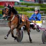 IsilonAlasse_5448-800x600