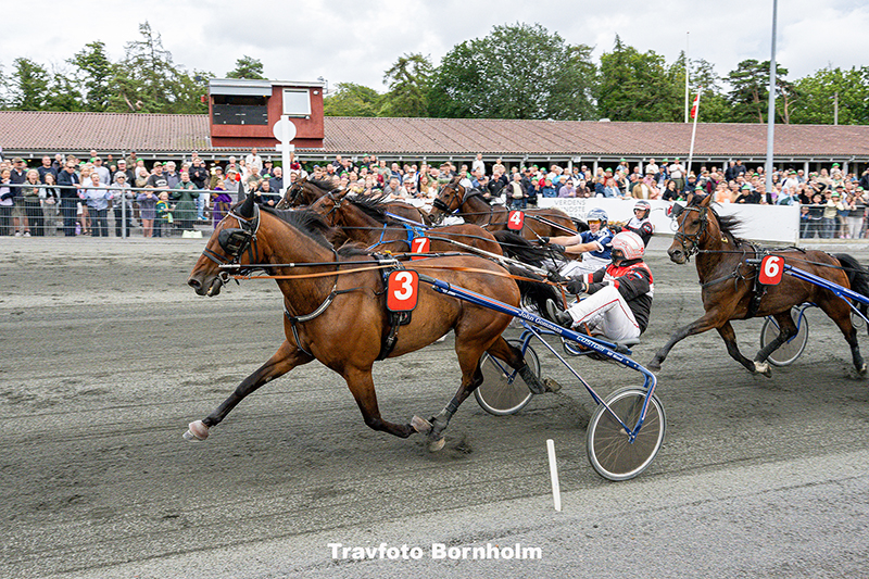 Ismael F Boko med John Gommans 16 juli 2025 Fotograf Torben Ager Travfoto Bornholm TKA 5847