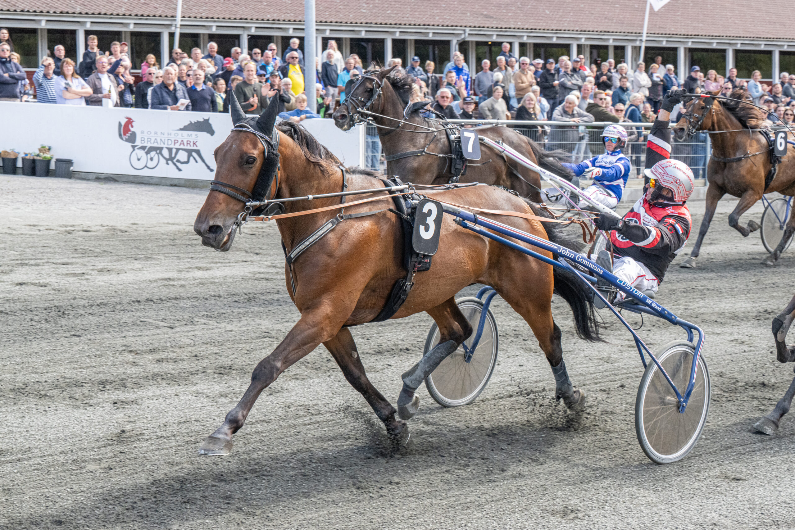 Ismael F Boko med John Gommans 23 august 2025 Fotograf Torben Ager Travfoto Bornholm TKA 9684 scaled