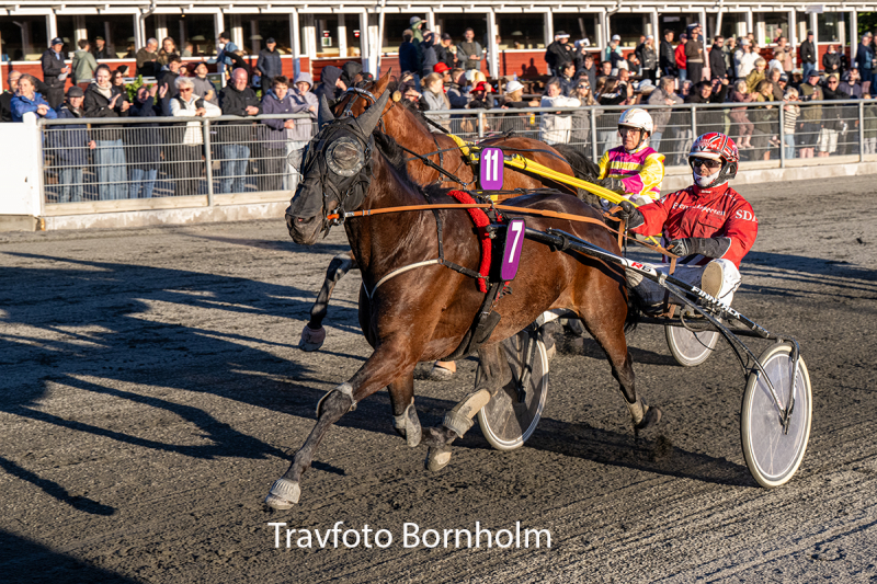 Ivory Bork med S ren Demant Andersen 7 juli 2026 Fotograf Torben Ager Travfoto Bornholm TKA 8365