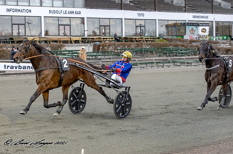 JACKSON LA MARC S2 4463