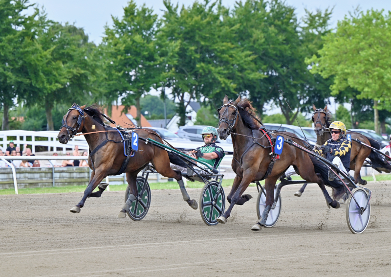 JASON CRUMP DSC 0989