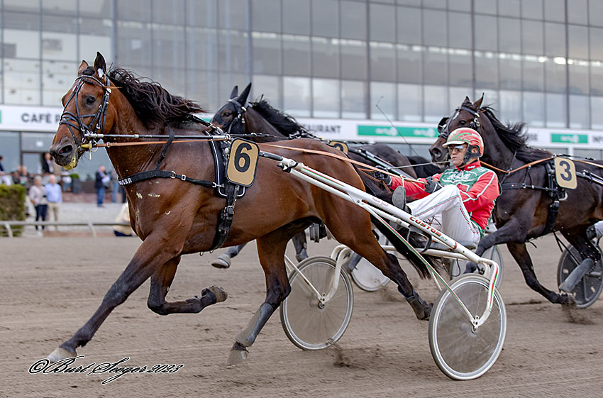 Fire danske håb på Vincennes i eftermiddag Trav Charlottenlund