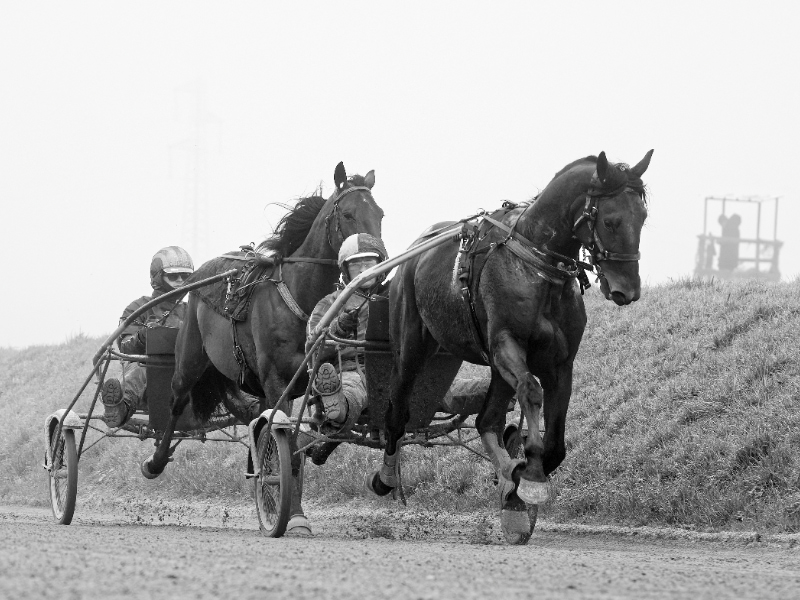 Kort nyt fra ind- og udland Face Time Bourbon mål 2.jp