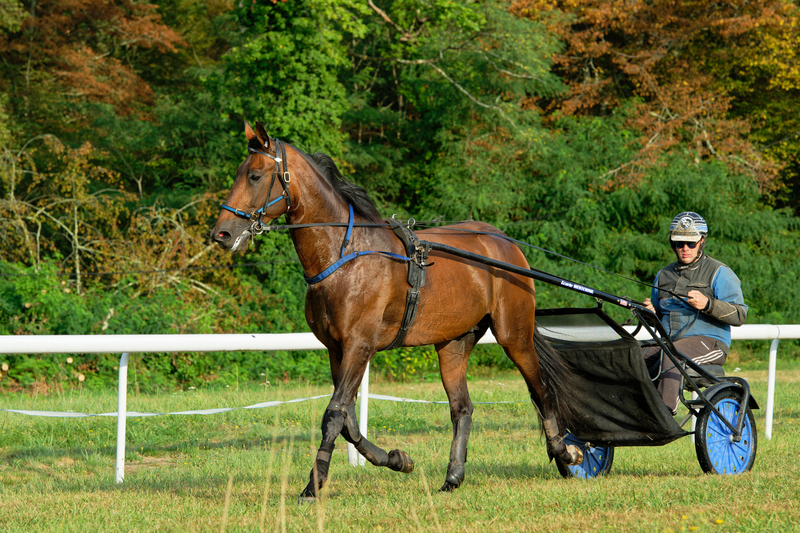 Et glædeligt comeback Ettonant
