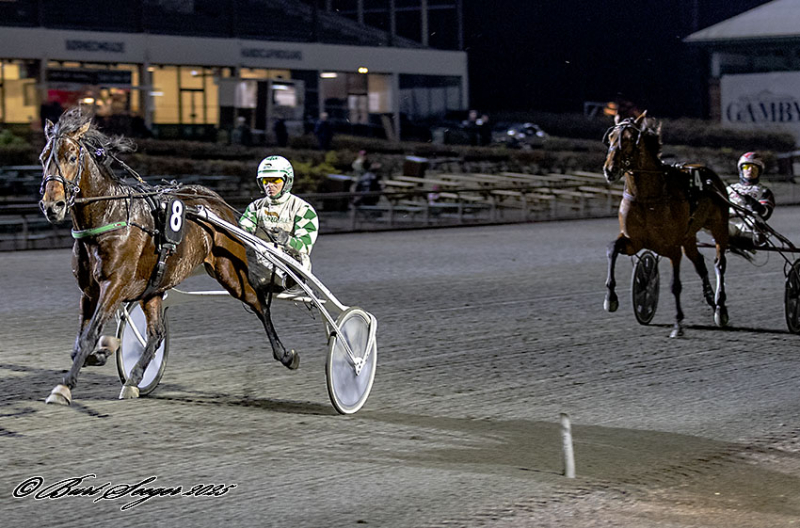 JULIEN SENSEI S2 3652