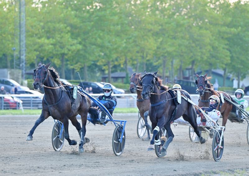 JUSTGIVEMEAREASON DSC 9157