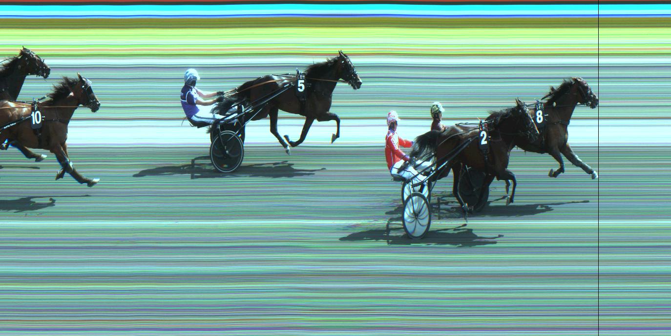 Lind-Holm-opdræt sejrede på Jarlsberg JealousRain-250706