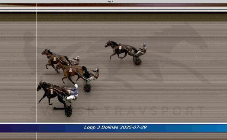 JeremiasSisu 250729 730x450 1