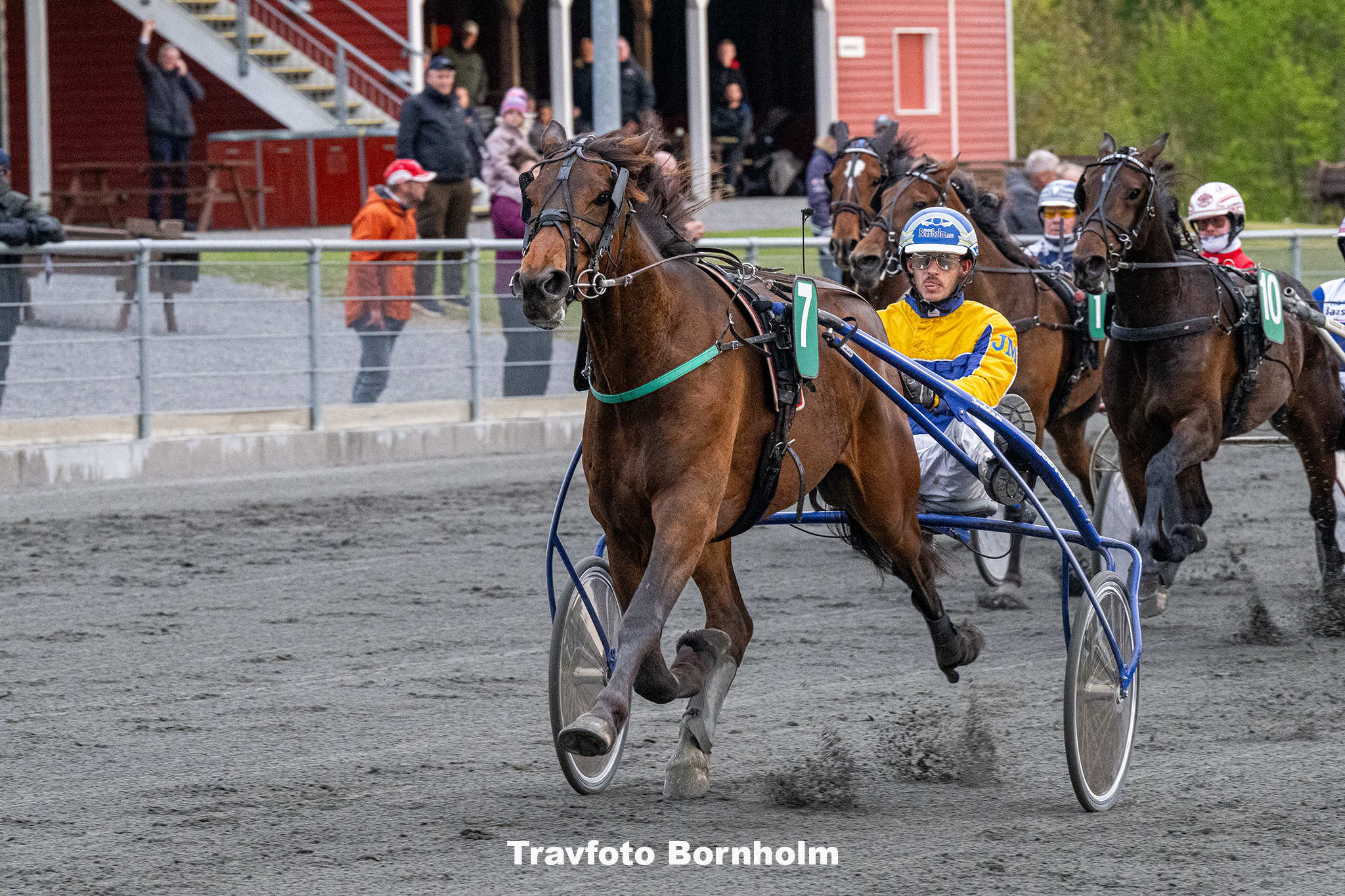 Jewellery Rain med Jonas Mikkelsen 17 maj 2025 Fotograf Torben Ager Travfoto Bornholm TKA 9514