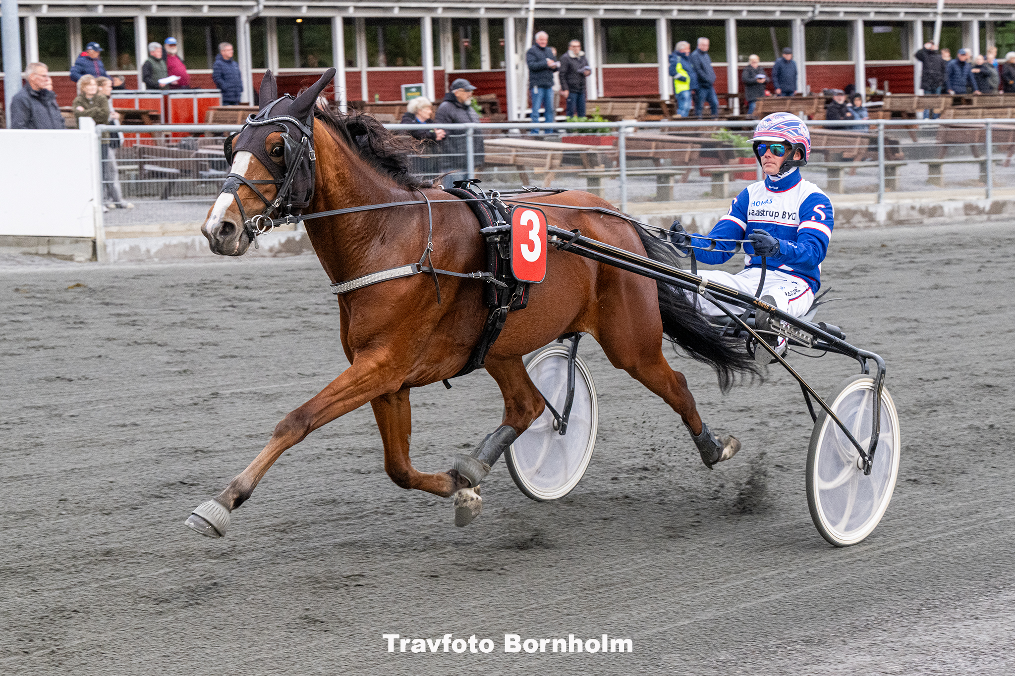 Julia Roberts med Niclas Steinlain 17 maj 2025 Fotograf Torben Ager Travfoto Bornholm TKA 9491