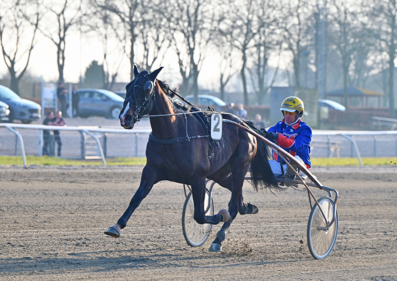 Karlo Molar til Gitte Madsen KARLO_MOLAR_DSC_9029-1