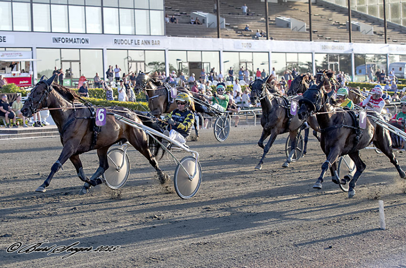 KAROLINE GARDENIA S2 7503