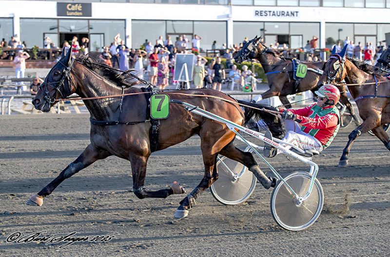 Kort nyt KATMAI_S2_7527