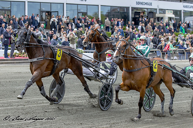 Lunden - Sådan gik det KAXIG_IN_MGL4653