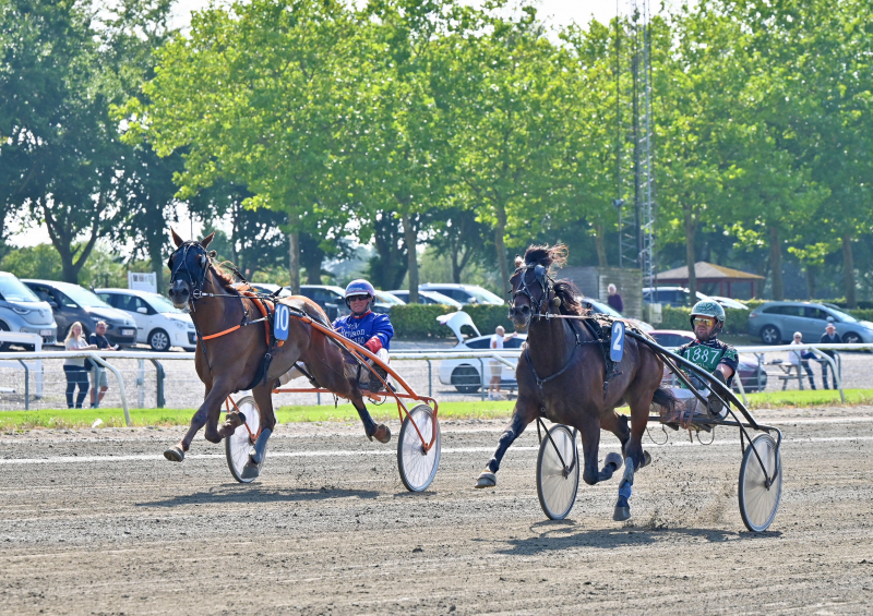 KAXI BROG RD DSC 3427