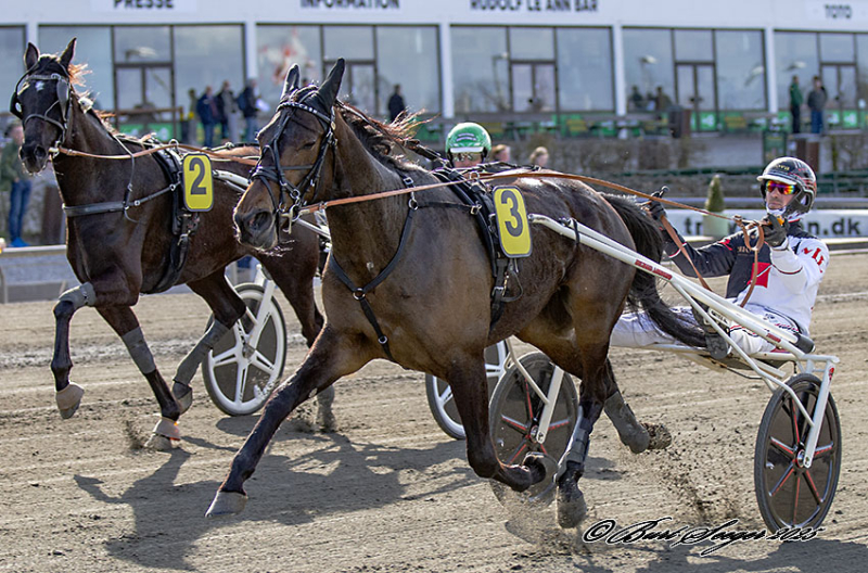 KEEP COOL CASH MGL2950